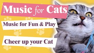 Music for Cats 🐱/ Music For Fun & Play / Cheer up your Cat / Make your Cat Playful 🚀 by Lounge Place 🎵  1,445 views 1 year ago 20 minutes