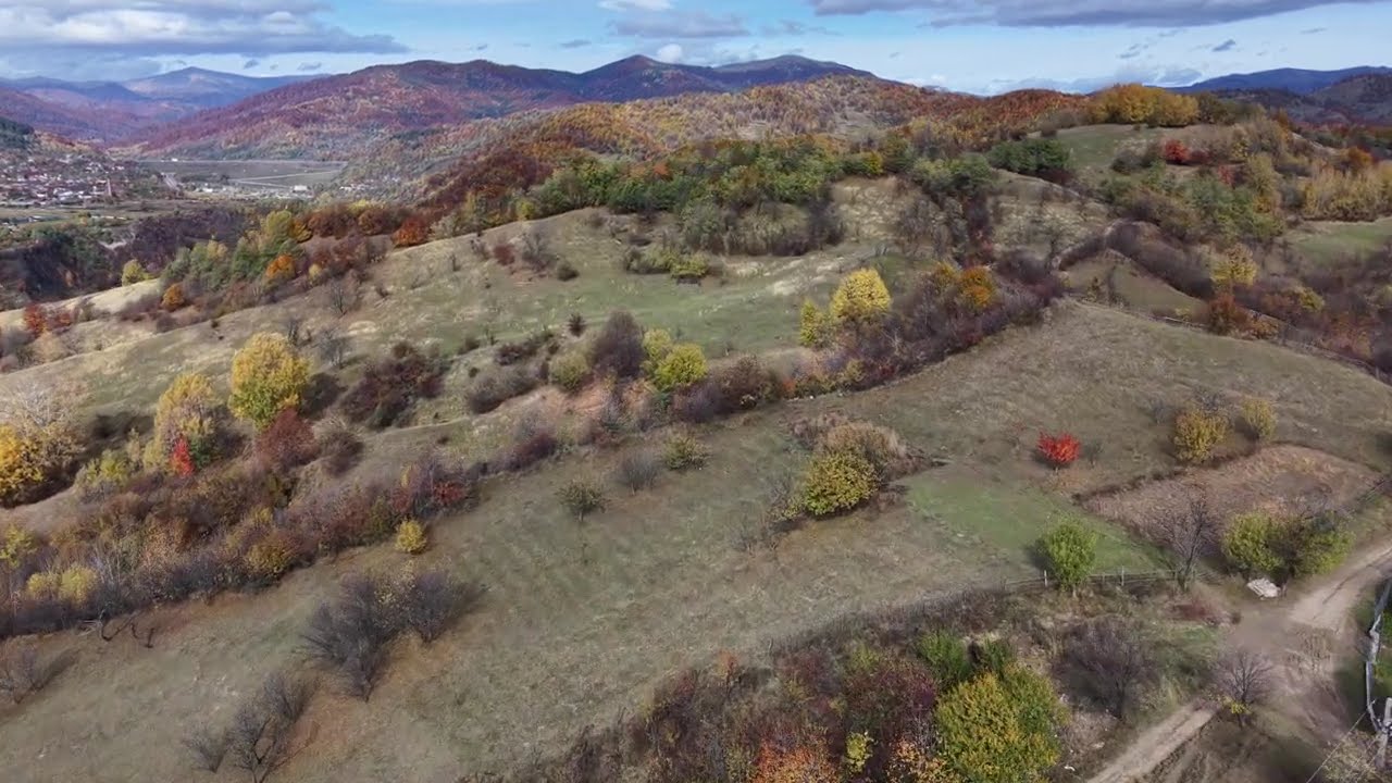 Măneciu toamna 2025