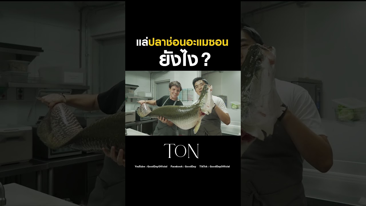 แล่ปลาช่อนแอมะซอนยังไง ทั้งเกล็ดทั้งหนังหนาแบบนี้ ! #Shorts #TON #ChefTon #GoodDayOfficial