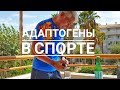 Адаптогены в спорте. Где взять энергию для тренировок? Валерий Жумадилов.