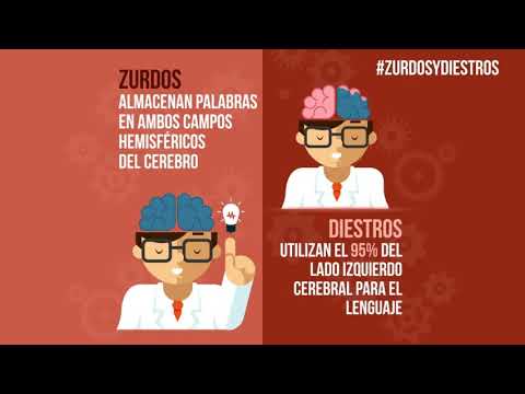 Vídeo: Cerebro Izquierdo Versus Cerebro Derecho: ¿cuál Es La Diferencia?