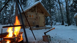 See the DANGEROUS CHIMNEY FIRE that could have burnt down the TINY cabin!