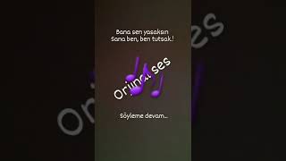 Tutsak Dj Bulent Resimi