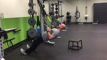 TRX Row Mechanical Advantage Drop Set