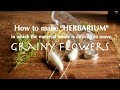 Please do not move.How to make "HERBARIUM" in which the material inside is difficult to move.【DIY】
