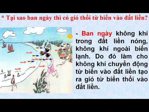 Tuần 19 - Khoa Học - Bài: Tại sao có gió? + Gió mạnh, gió nhẹ, phòng chống bão.