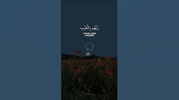 آيات بينات من الذكر الحكيم ♥️