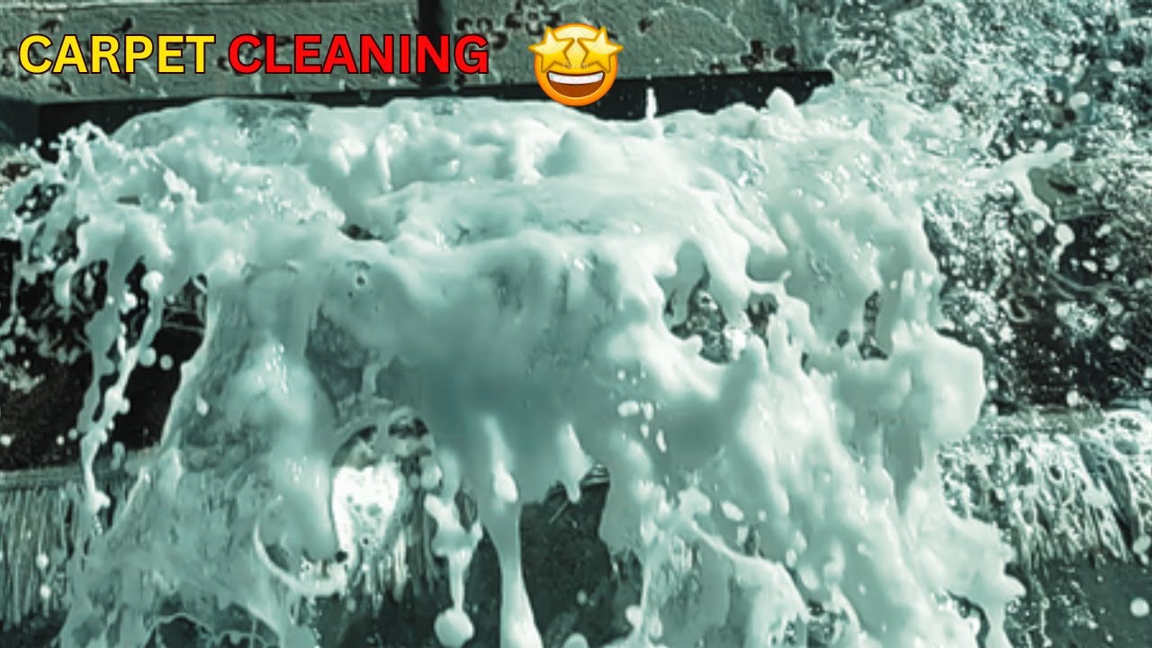 Deep Cleaning Carpet ASMR Washing RUG ASMR Cleaning Carpet