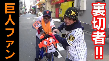 マナブ18巨人ファン