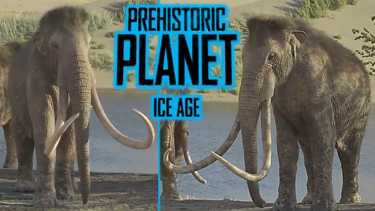 Колумбийский мамонт отпугивает глиптотерия. Официальный клип доисторического ледникового периода ...