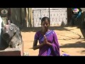 Download Ho Munda Song - Gamay Rimil | Ho Munda Video Album - Jenga Duppata Ho Munda Song - Gamay Rimil | Ho Munda Video Album - Jenga Duppata