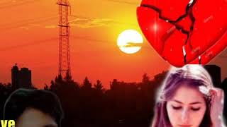 Jab bhi Teri yaad Aaye hum to Ro diye by Sahid Ali khan ( sunahri yaad)