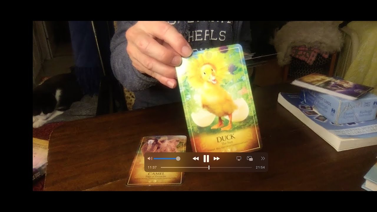 Do You Feel Reborn or Brand New?  No Wonder!