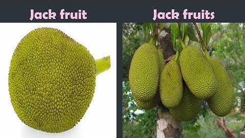 ONE AND MORE THAN ONE Class 2 English