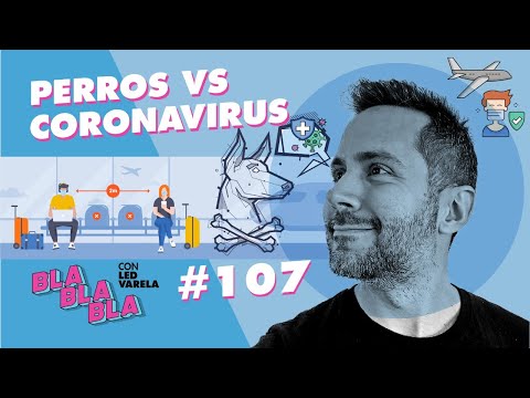 BLA BLA BLA #107 | Perros vs. Coronavirus