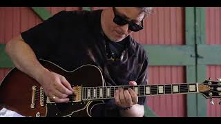 Kurt Rosenwinkel plays the Premier SS | D'Angelico Guitars