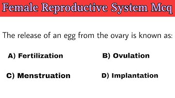 Female Reproductive System Mcq | female reproductive system questions