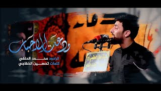 ودعت الاحباب | محمد الحلفي | #هيئة_بطل_العلقمي #البصرة _ الفاو