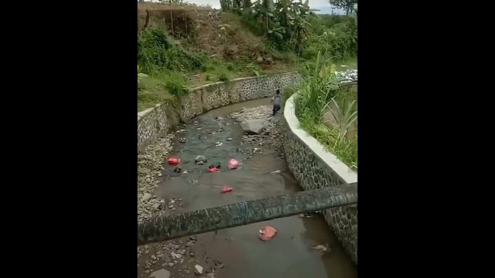 NGERI ..!! LAGI SERU MANCING DATANG BANJIR BANDANG #shorts#fishing#mancing#banjirbandang#bestfishing