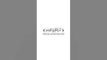 كروما شاشة بيضاء قرآن كريم 🌿تلاوة من سورة الزمر 🌿القارئ ماهر المعيقلي 🌿