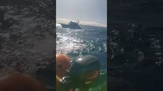 2023 0314 aMid Swim