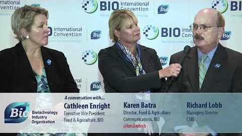Interview with Cathleen Enright, Richard Lobb, and...