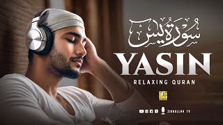 : Trending Surah Yasin (Yaseen)   | Heart touching Voice | Zikrullah TV