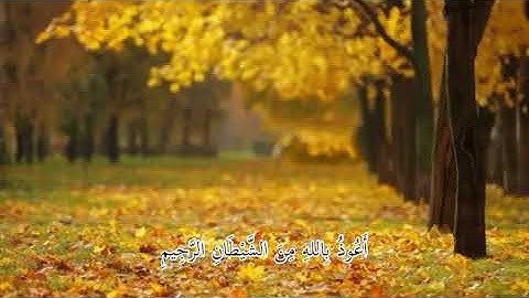 تلاوة خاشعه  - ماتيسر من سورة النحل
