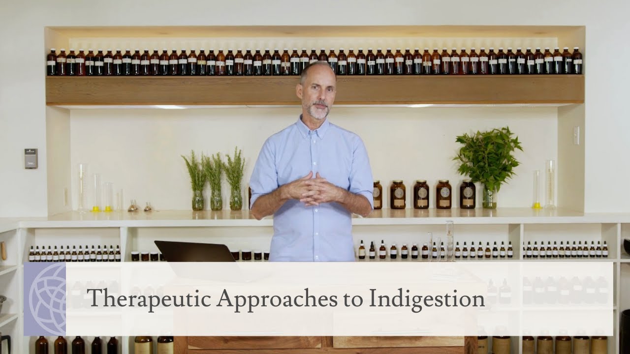 Therapeutic Approaches to Indigestion