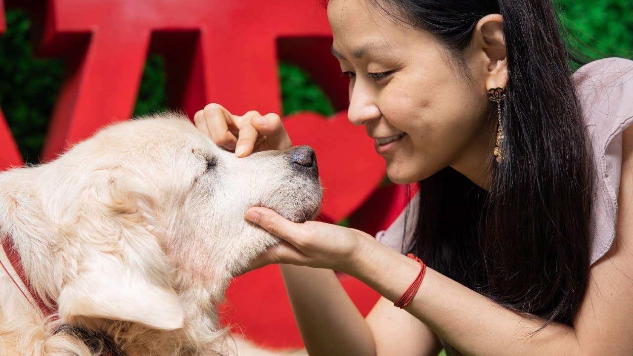 元宵節快樂嗎？