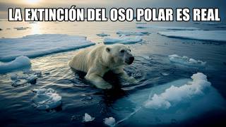 Oso Polar: El Cazador del Ártico en Peligro de Extinción – ¡Actúa Ahora!  #especies #extinción