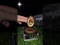 🥑 Mix: fresh avocado and wireless electricity from tesla coil #experiment #science #shorts