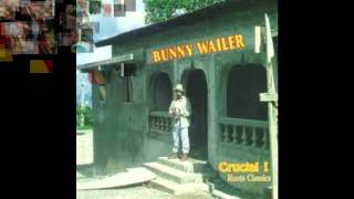 BUNNY WAILER  -  TROUBLE ON THE ROAD AGAIN