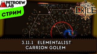 Поболтушки в POE. Патч 3.11.1, Билд Elementalist - Carrion golem