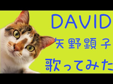 DAVID/矢野顕子(歌ってみた)