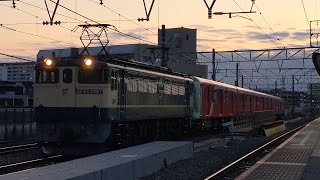 【八丁畷駅を通過する甲種輸送】JR貨物 EF65 2097号機+東京メトロ2000系2145編成 甲種[8862レ] 川崎貨物行 八丁畷駅通過！[2023.05.20(土)]