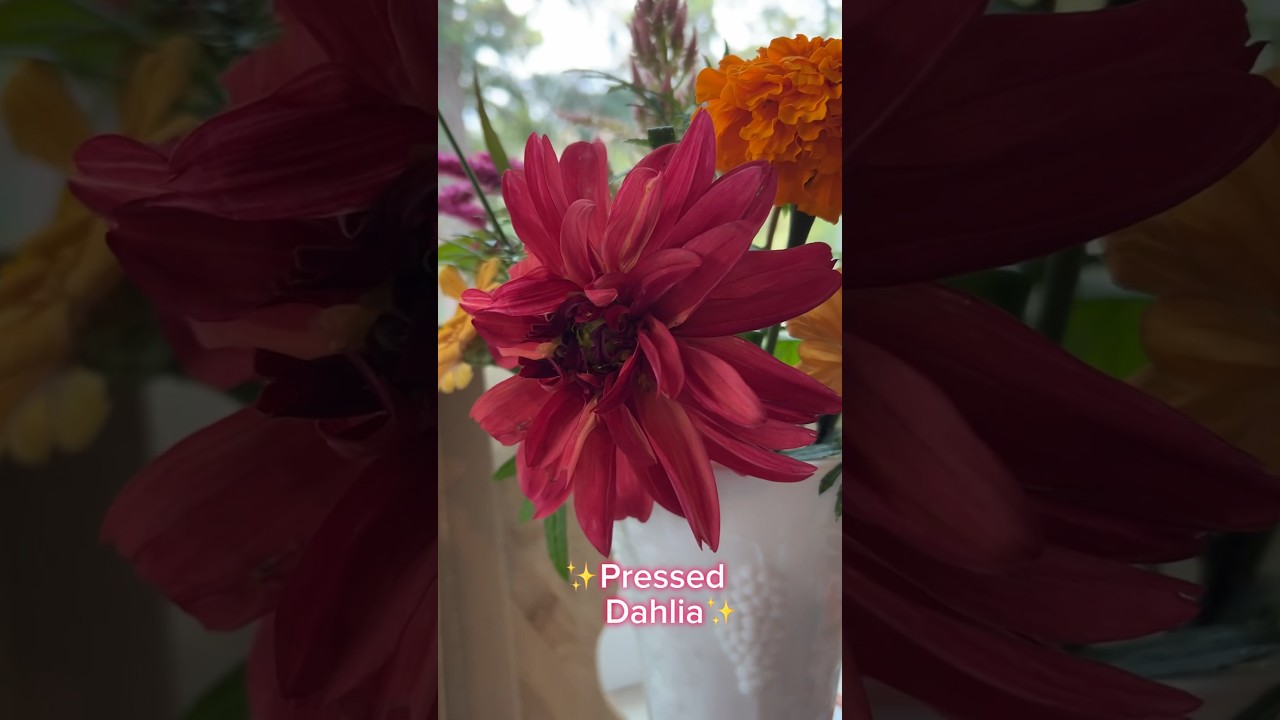 They are tough to keep dry! 