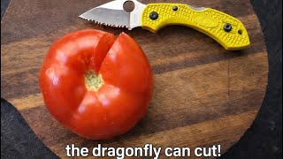 Serrated Spyderco dragonfly cut test