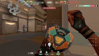 Ne Demiş Şair Vurgunummm ---- Caillou Mood