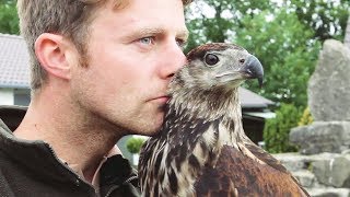 Raising and living with Eagles by dreambird 2,432,111 views 5 years ago 5 minutes, 10 seconds