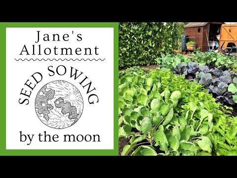 Video: Planting By The Moon - Tìm hiểu về Làm vườn trong Moon Phase