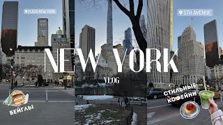 Мой день в Нью-Йорке: стильные кофейни, Soho, Central Park и Times Square