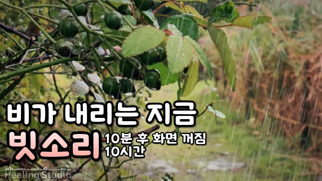 만성피로회복 빗소리 | 보약보다 좋은 자연의 소리