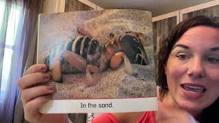 Where Do Insects Live