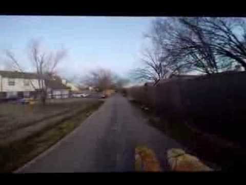 Dog run!