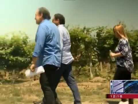 მსოფლიოში ცნობილი ფრანგი ენეოლოგი ყვარელში ასკანელი ძმების ვენახებს სტუმრობდა