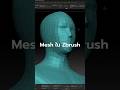 วิธีเปลี่ยน Mesh ใน ZBrush เป็น Pattern ผ้าใน Marvelous Designer