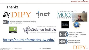 Automatic Fiber Quantification, Part 3: Insight