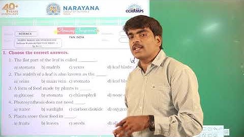 8TH AUG PAN INDIA CLASS IV SCIENCE ASSIGNMENT KEY