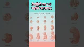 Cute Baby Growth in Mothers Belly।1-9 month Baby Growth During Pregnancy।cute baby Shortsviral